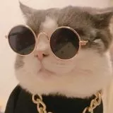 美菊TIKTOK海外版