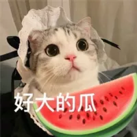 呸呸呸