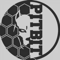 PITBIT | CHANNEL