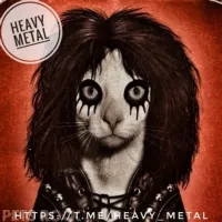 HEAVY METAL