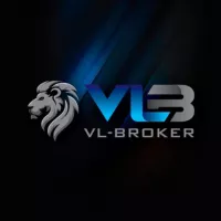 Таможенный брокер VL-BROKER