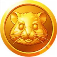 КОМБО и ШИФР Hamster Kombat | Комбо карточек и Ежедневный шифр в Хамстер Комбат