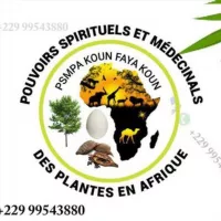 POUVOIRS SPIRITUELS ET MÉDECINALES DES PLANTES EN AFRIQUE ☘☘☘🌿