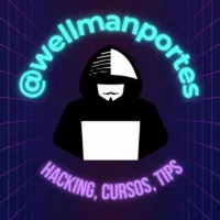 wellmanportes