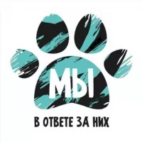 МЫ В ОТВЕТЕ ЗА НИХ!