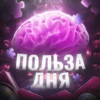 Польза дня 🧠