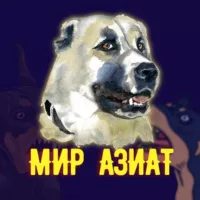 Мир Азиат