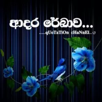 ආදර රේඛාව.....💙✨