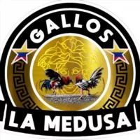 Gallos la medusa