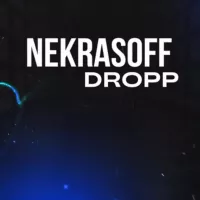 NekrasoffDROPP. Дропшиппинг