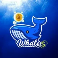 Whales Crypto 🐋