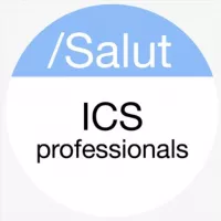 Info Professionals ICS