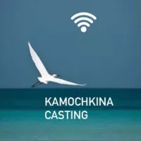 Kamochkinacasting