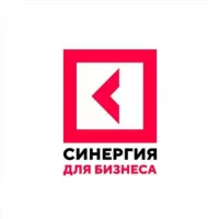 Синергия для Бизнеса