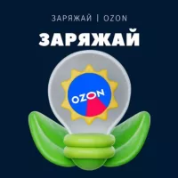 ЗАРЯЖАЙ | OZON