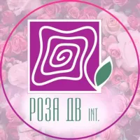 💐 ROZA DV INT 💐 РОЗА ДВ ИНТ 💐