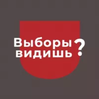 Выборы видишь? | Зеркало Политика