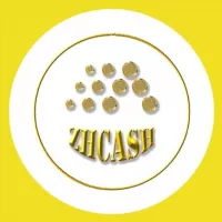 ZHCASH (blockchain, NFT), DAO ZHChain