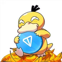 PsyDuckGame Community