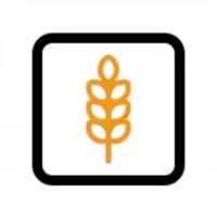 Agrobridges | оголошення на продаж та купівлю зернових 🇺🇦