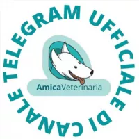 Amica veterinaria