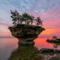 Удивительная планета 🌍