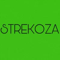 Strekoza