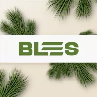 BLES — Більше про ігри