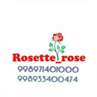 Rosette_rose