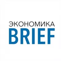 Экономика Brief