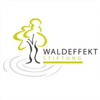 🌱Waldeffekt Stiftung ☘️