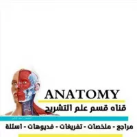 Anatomy