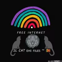 SL CAT ᴇʜɪ ꜰɪʟᴇꜱ ™ 🇱🇰