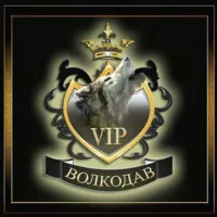 VIP VOLKODAV