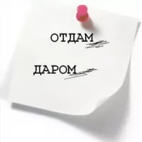 ОТДАМ ДАРОМ-ТЕКИНГА НАРСА БЕРИЛАДИ. Узбекистан!