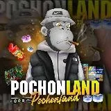 Pochonland Le Vrai 🥇