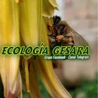 Canal ECOLOGÍA GESARA