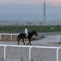 Ахи🏹