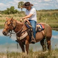 Música llanera 🐴