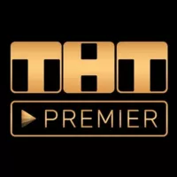 ТНТ Премьер Premier промокоды Промокоды на онлайн - кинотеатры ТНТ Премьер, иви, megogo, окко,WINK, много лосося, сбермаркет