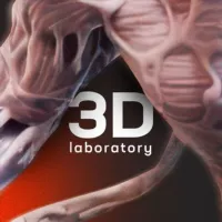 3D Lab Library.stl